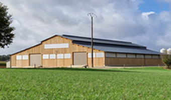 Bâtiment neuf bois