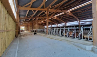 Stabulation avec couloir d'alimentation arrière